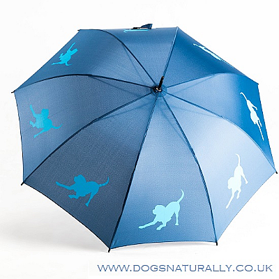 Labrador Umbrella